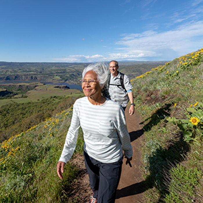 The Science of Programming for Older Adults